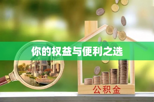 隆化你的权益与便利之选