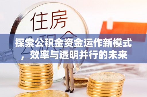 隆化探索公积金资金运作新模式，效率与透明并行的未来