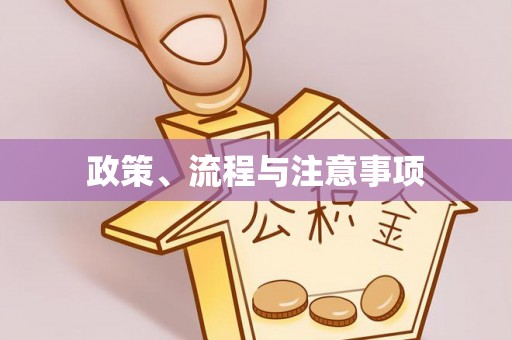 隆化政策、流程与注意事项