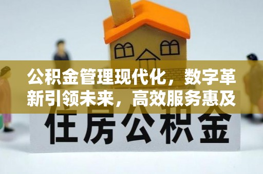 隆化公积金管理现代化，数字革新引领未来，高效服务惠及民生