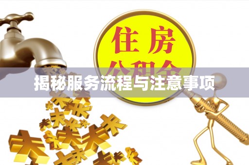 隆化揭秘服务流程与注意事项