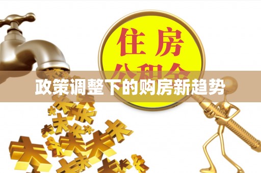 隆化政策调整下的购房新趋势