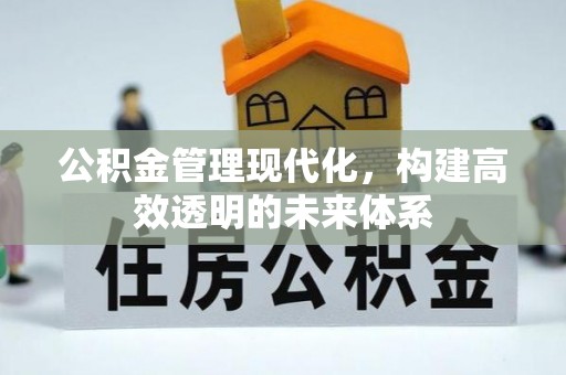 隆化公积金管理现代化，构建高效透明的未来体系