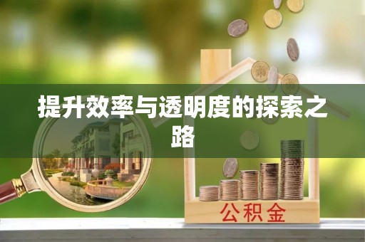 隆化提升效率与透明度的探索之路