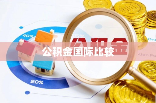 隆化公积金国际比较