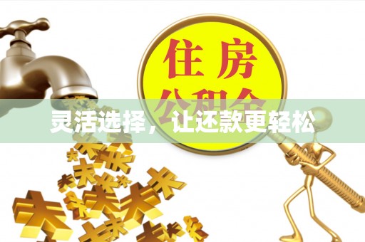 隆化灵活选择，让还款更轻松