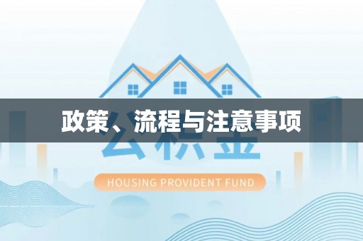 隆化政策、流程与注意事项