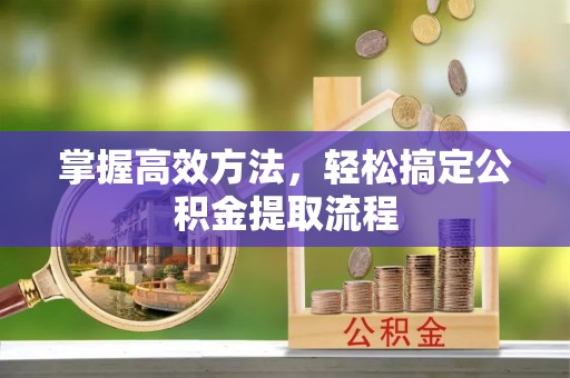 隆化掌握高效方法，轻松搞定公积金提取流程