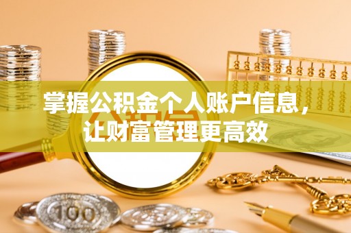 隆化掌握公积金个人账户信息，让财富管理更高效