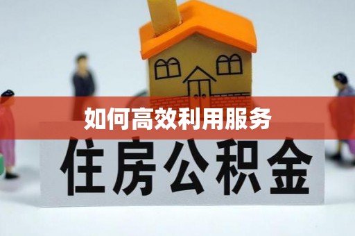 隆化如何高效利用服务