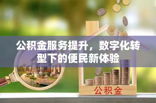 隆化公积金服务提升，数字化转型下的便民新体验