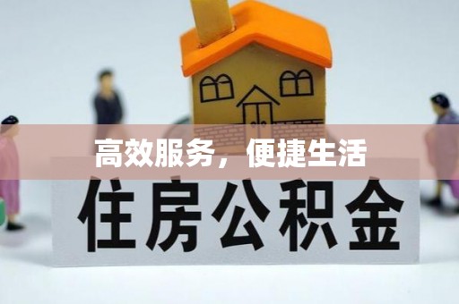 隆化高效服务，便捷生活