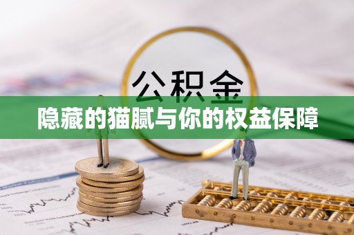 隆化隐藏的猫腻与你的权益保障