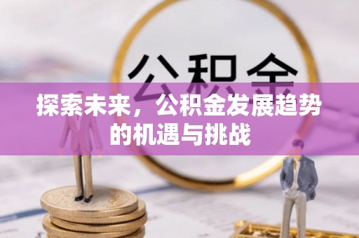 隆化探索未来，公积金发展趋势的机遇与挑战