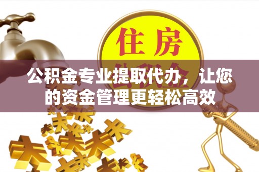 隆化公积金专业提取代办，让您的资金管理更轻松高效