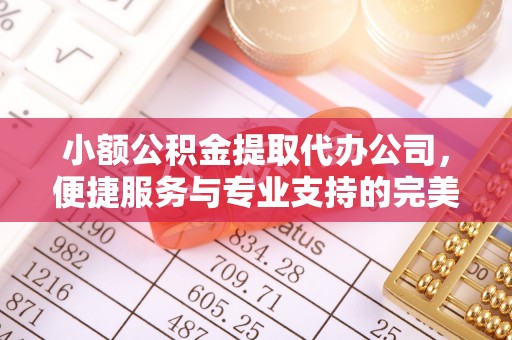 隆化小额公积金提取代办公司，便捷服务与专业支持的完美结合
