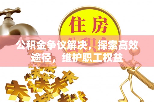 隆化公积金争议解决，探索高效途径，维护职工权益
