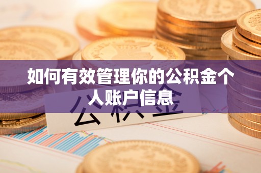 隆化如何有效管理你的公积金个人账户信息
