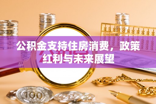 隆化公积金支持住房消费，政策红利与未来展望