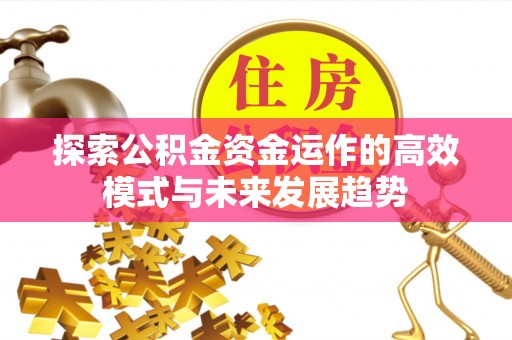 隆化探索公积金资金运作的高效模式与未来发展趋势