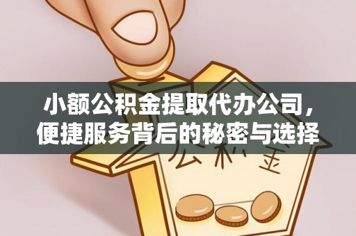 隆化小额公积金提取代办公司，便捷服务背后的秘密与选择指南