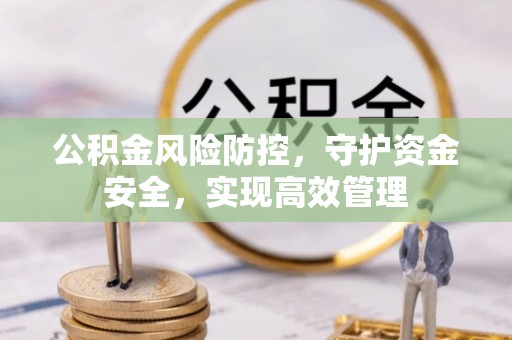 隆化公积金风险防控，守护资金安全，实现高效管理