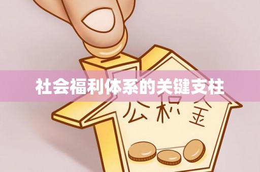 隆化社会福利体系的关键支柱