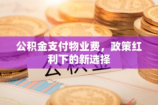 隆化公积金支付物业费，政策红利下的新选择