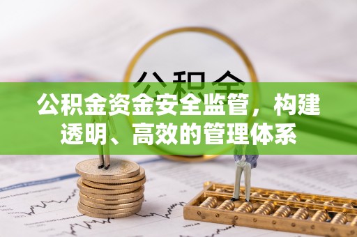 隆化公积金资金安全监管，构建透明、高效的管理体系