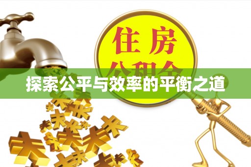 隆化探索公平与效率的平衡之道