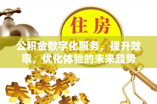 隆化公积金数字化服务，提升效率，优化体验的未来趋势
