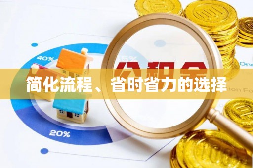 隆化简化流程、省时省力的选择
