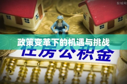 隆化政策变革下的机遇与挑战
