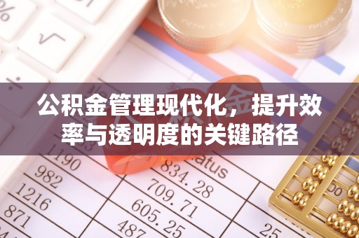 隆化公积金管理现代化，提升效率与透明度的关键路径