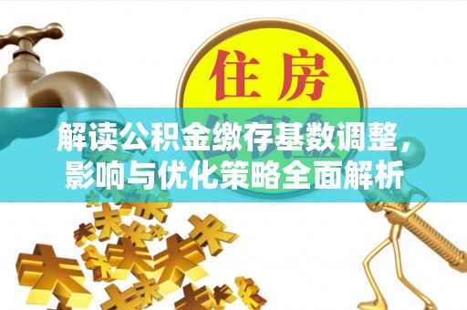 隆化解读公积金缴存基数调整，影响与优化策略全面解析