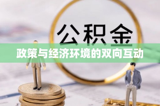 隆化政策与经济环境的双向互动