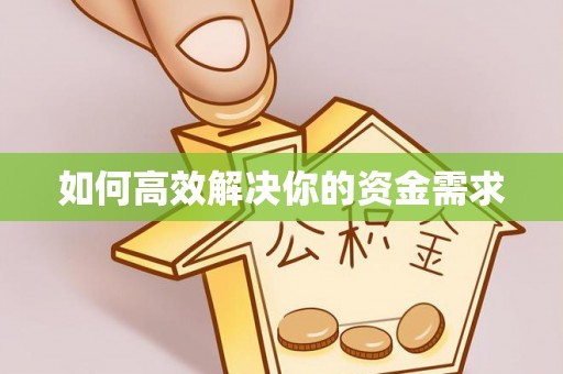 隆化如何高效解决你的资金需求