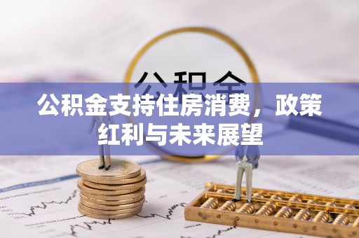 隆化公积金支持住房消费，政策红利与未来展望