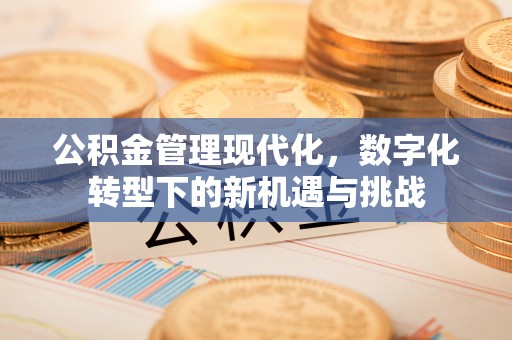 隆化公积金管理现代化，数字化转型下的新机遇与挑战