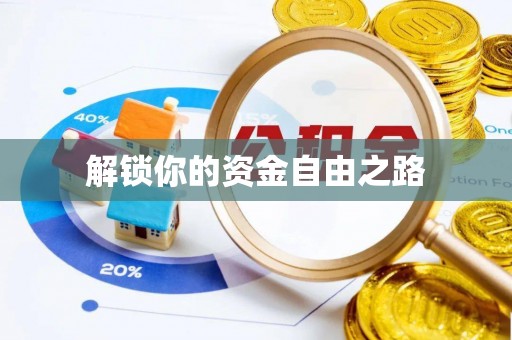 隆化解锁你的资金自由之路