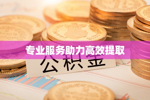 隆化专业服务助力高效提取
