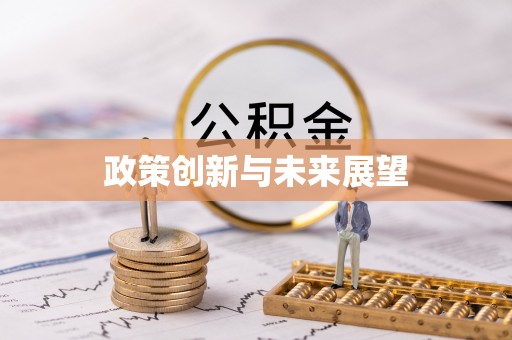 隆化政策创新与未来展望