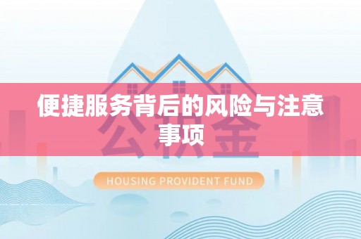 隆化便捷服务背后的风险与注意事项